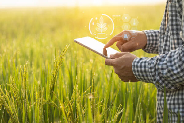 How Does Technology Improve Crop Yield In Modern Farming Modern Farming